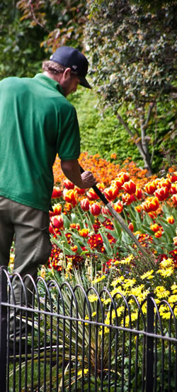 Maintaining the Campus Landscape