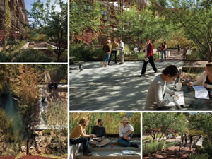 University of Arizona