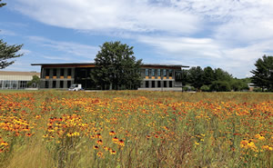 greenest building