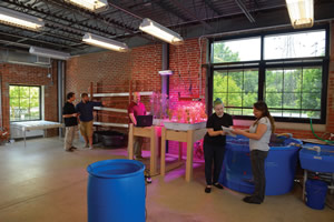 Sustainability lab