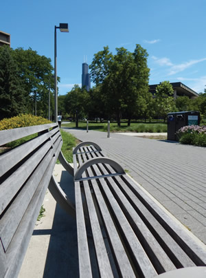 campus outdoor space