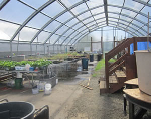 Greenhouse