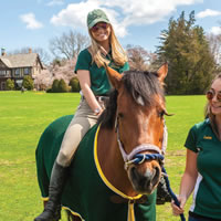 equestrian higher ed studies