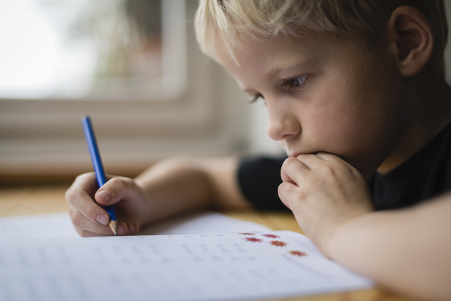 Child working on homework. 