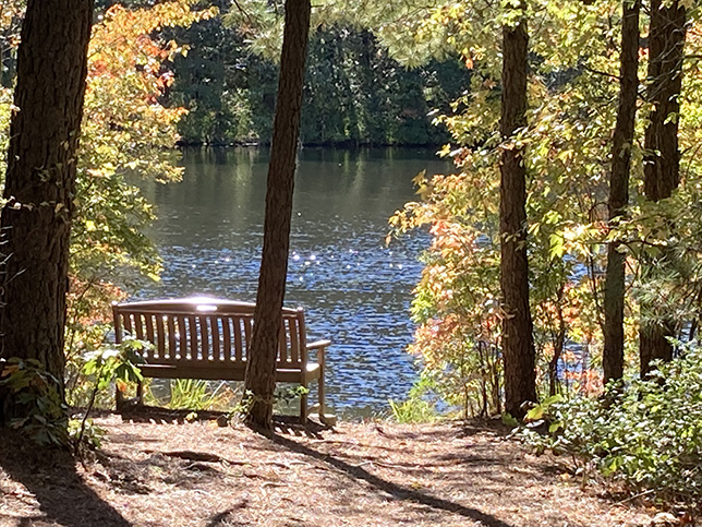 Outdoor spaces promote mental health and wellness