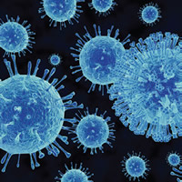 Flu virus