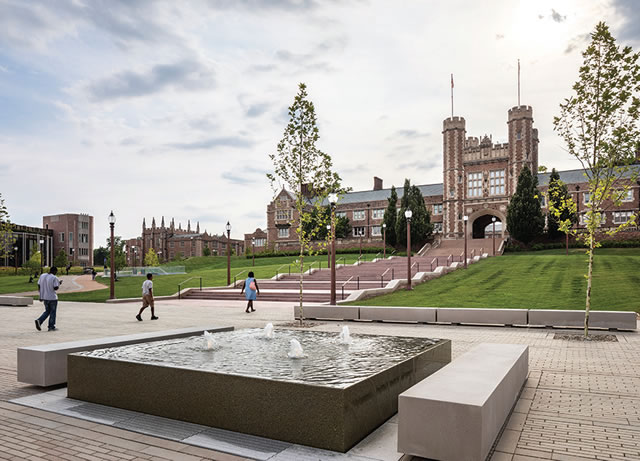 Washington University in St. Louis