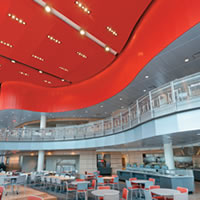 Ceiling Provides Aesthetics and Acoustics