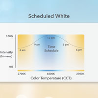 LEDs and Lighting Controls